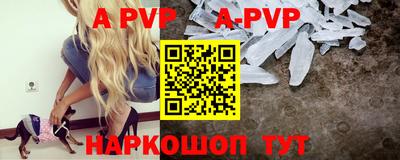 СК Рыбинск