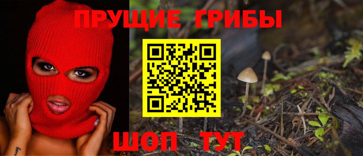 Псилоцибиновые грибы прущие грибы  Вход с VPN  Россия  Галлюциногенные грибы ЛСД 